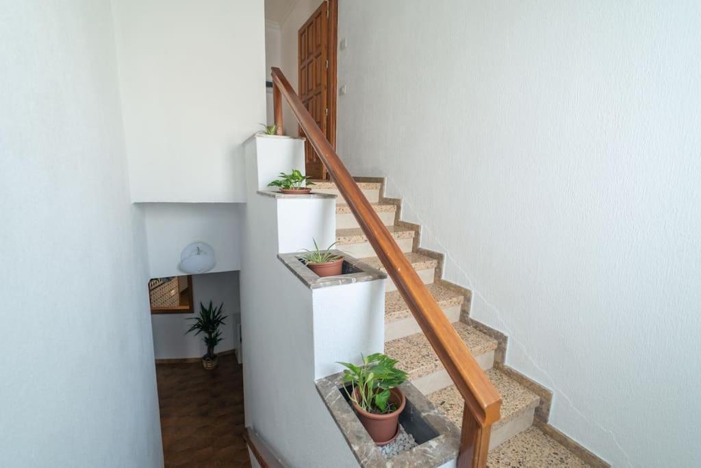 Un Lugar House San Telmo -Coliving Leilighet Las Palmas de Gran Canaria Eksteriør bilde